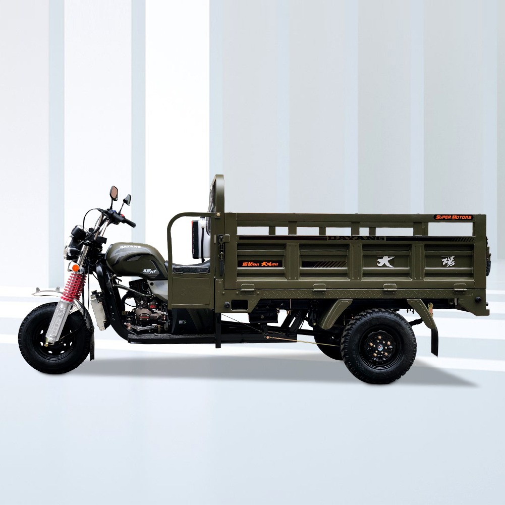 250cc Three Wheeler Heightening Carriage Motorized Tricycle for Adults Cargo Tricycle
