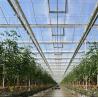 Buy cheap Roofing Shape Multi Span Type Glass Greenhouse With Hydroponics from wholesalers
