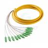Buy cheap 12F FTTH Fiber Optic Pigtails SC APC UPC SM G.657A1 Fibre Optica Cable from wholesalers