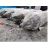 Buy cheap Low Pressure Heavy Lifting Rubber Airbags Used Rubber Marine Airbag from wholesalers