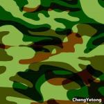 Camouflage Color Pre Painted Steel Sheet Customized Size For Army Building