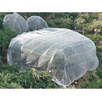 Buy cheap High Density Agriculture Insect Net 50gsm Plant Cover Net 60mesh White Vegetable product