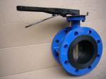 Center Line 48 Inch Resilient Seat Butterfly Valve Flange Type Carbon Steel