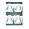 Buy cheap Wearable White Base Medical X Ray Films , Medical Imaging X-ray Paper Film from wholesalers