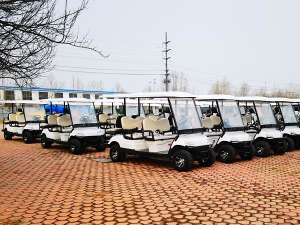 2021 Legal Street Aetric Community Sightseeiing Golf Carts 20Mph For Garden