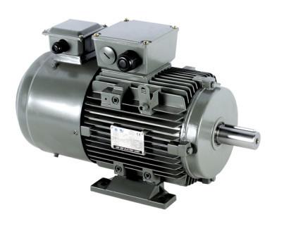 Buy cheap Aluminum Asynchronous Inverter Motors 3 Phase from wholesalers
