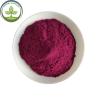 Buy cheap Antioxidants Food Grade Bilberry Fruit Powder With Best Price from wholesalers