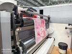 Flexo Printing Machine For High Speed Printing Of Paper Cups Cartons And More 39