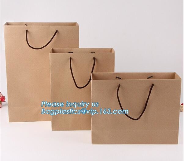 Luxury Paper Gift Carrier Shopping Bag Party Bag with Handles,printed paper carrier bag for apparel shopping bag, bageas