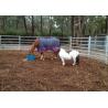 Buy cheap Rot Proof Heavy Duty Cattle Panel 40x40mm Square Galvanized Tube Livestock from wholesalers