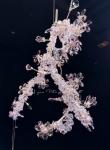 Buy cheap 2700K-3500K European Style Modern Unique Chandeliers OEM ODM from wholesalers