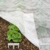 Buy cheap White PP Frost Anti Pull 180 Gram Agricultural Mulch Film from wholesalers