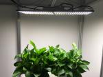 240W Full Spectrum LED Grow Lights