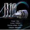 Buy cheap 12v H11 Led Headlight Bulb , Etclite 6000k Halogen Headlight Bulbs from wholesalers