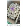 Buy cheap China fresh garlic export to Brazil by Pioneer Garlic Group from wholesalers