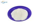 High Stretchability Transfer Adhesive Powder Excellent Color Stability