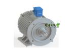10kw 12kw 20kw 50kw 200kw Magnet Free Generator Alternative Energy Permanent