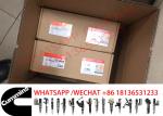4928260 4062569 QSX15 ISX15 Diesel Engine Fuel Injector