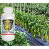 Buy cheap ECO Friendly Natural Organic Cotton Pesticide SC Biological Cotton Pesticide from wholesalers