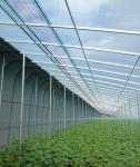 Sunlight Greenhouse JX-h0051 Year-round Vegetable Growing in Greenhouse Snow
