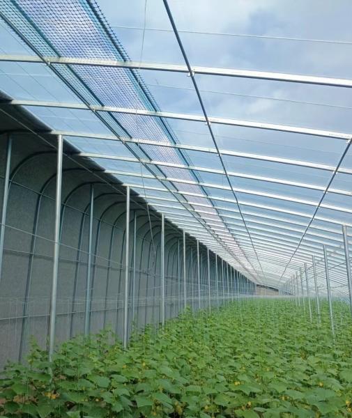 Buy cheap Tech Double Layer Agricultural Plastic Film Hydropoinics Greenhouses for Aquaculture from wholesalers