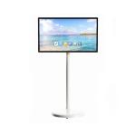 21.5" Incell Capacitive Touch Standbyme Incell Smart Screen High Voltage and 12