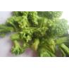 Buy cheap New product Healthy Dried Vegetables Snack Vacuum Fried Broccoli Snacks from wholesalers
