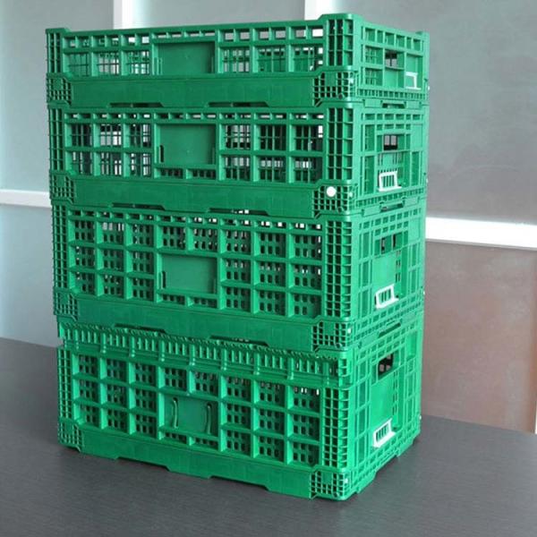 Buy cheap Sonsill Green Vegetable Storage Reusable Collapsible New PP Plastic 32 Liters Crate from wholesalers