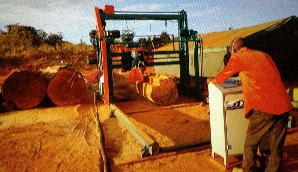 popular!!! DS1300 double blades cutting angle circular sawmill well sold in Suriname market