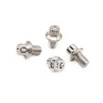 Custom Non Standard Flange Anti Theft Screws Stainless Steel Flower Anti Slip