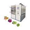 Buy cheap 220V Freeze Dryer With 200kg/H Evaporation Capacity In 40 Feet Container from wholesalers