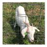 Buy cheap Metal Frame Galvanized 5 6 7 8 ft Fixed Knot Farm Fence for Sheep and Deer Welded from wholesalers