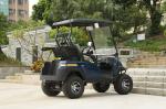 Four Wheels 2 Passengers Electric Golf Buggy 48V Battery Powered