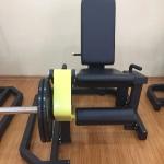 Steel Plate Loaded Machine Leg Extension Fitness Strength Training Equipment for