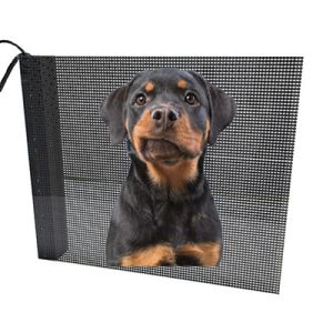 Buy cheap P3.9 Indoor Holographic Transparent LED Display 80% Transparency For Exhibitions product