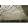 Buy cheap White HDPE Anti Insect Net , Anti Worm Net For Agriculture / Greenhouse from wholesalers