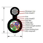 Customizable GYTC8S 2-144 Core Armored Fiber Optic Cable for Underground Direct