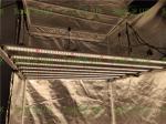 PWM dimming Samsung LM301H 650Watt Led Horticulture Grow Lights