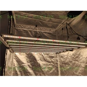 Wholesale Lm301b Lm301h 650w G1 UL8800 Horticulture LED Grow Lights from china suppliers