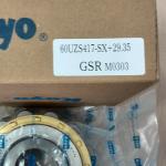 60UZ417-SX-29.35 Eccentric Bearing with Bushing 60UZ417SX Brass Cage Cylindrical