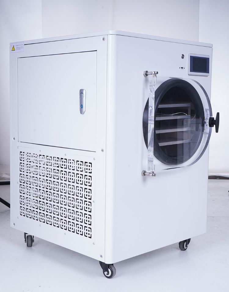 Air Compressor High Efficiency Bacteria Strain Freeze Dryer Industrial