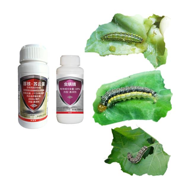Buy cheap AcNPV & 10% Chlorfenapyr Tomato Fruitworm Insecticide For Cabbage Worms from wholesalers