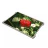 Buy cheap 10.4 Lcd Screen Panel Display 1024*768 IPS AUO G104XVN01.0 Lcd Panel from wholesalers