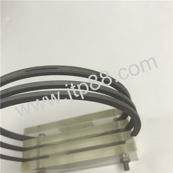 Filters Piston Ring Sets 110mm DIA OEM 197-9386