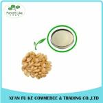 Wheat Protein / Wheat Gluten Extract Powder Protein 80%