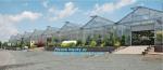 small garden green house,Multispan Tunnel Greenhouse for Tomato Agricultural
