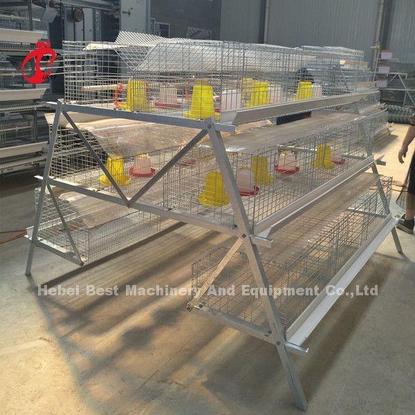 Buy cheap Galvanized 25 Years Lifespan Pullet Chicken Cage Emily from wholesalers