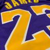 Buy cheap Embodied NBA Team Jerseys 23 Basketball Jersey Breathable from wholesalers