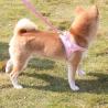 Buy cheap New Suede Reflective Red Dog Leash Vest Explosion Proof from wholesalers