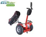 2 Wheel Balance Electric Scooter EcoRider Dropshop 21 Inch Tire Self Balancing